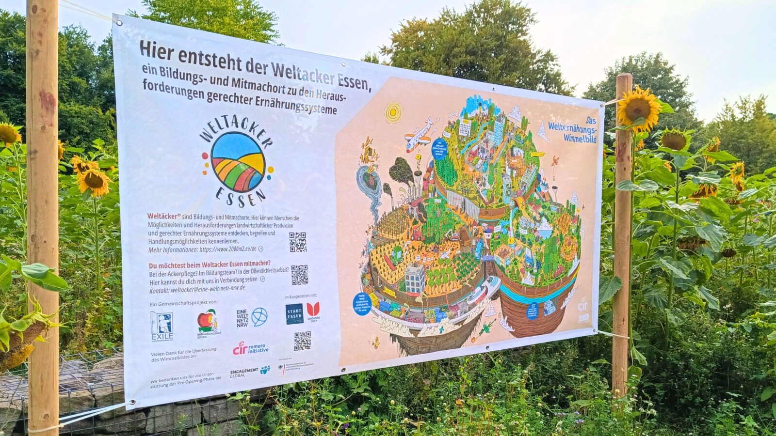 600 pixels wide image